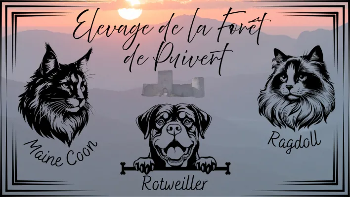 Elevage de la Forêt de Puivert