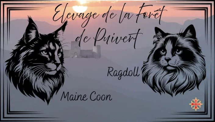 Elevage de la Forêt de Puivert