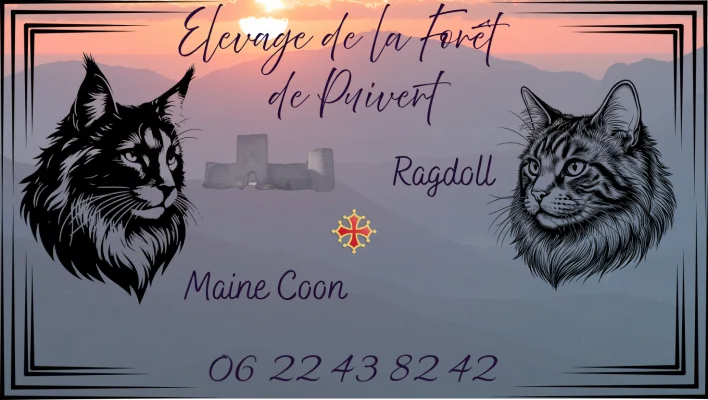 Elevage de la Forêt de Puivert
